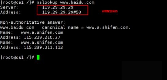 Linux上配置DNS服务器